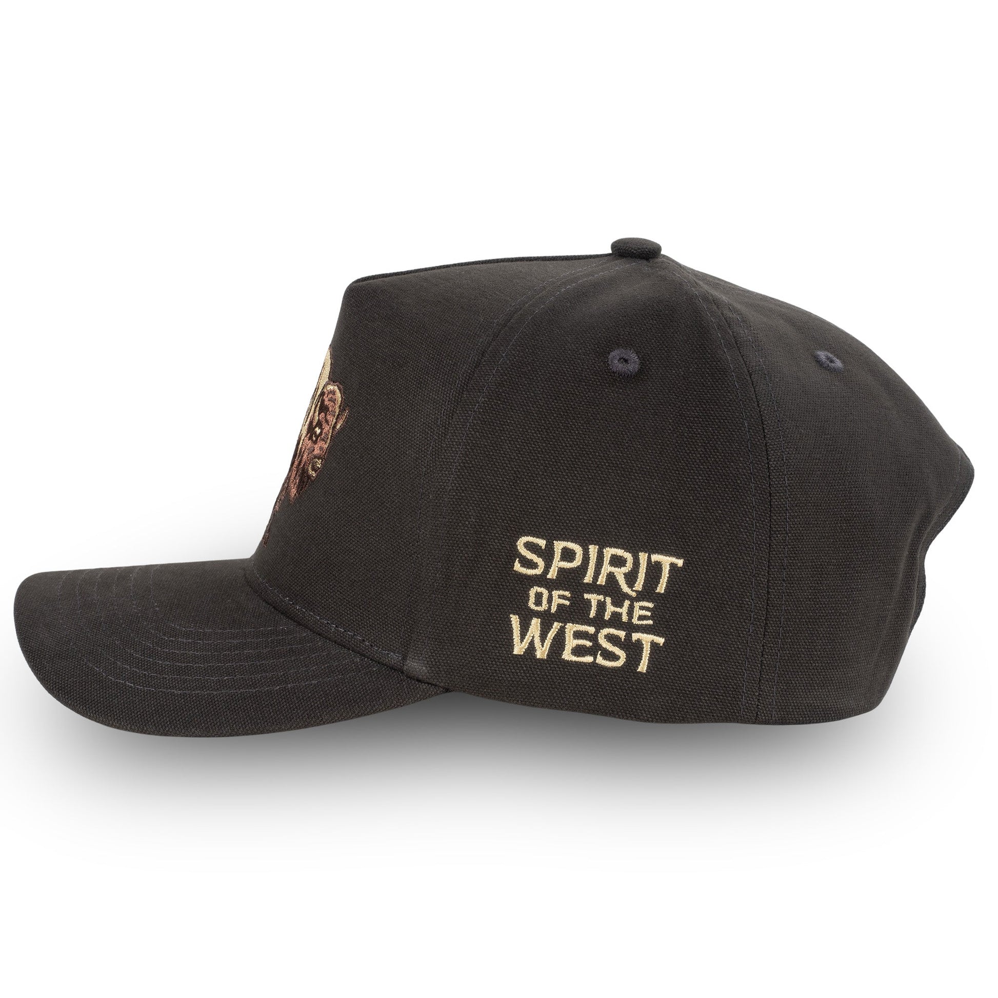 Sendero Provisions Co. American Buffalo Hat