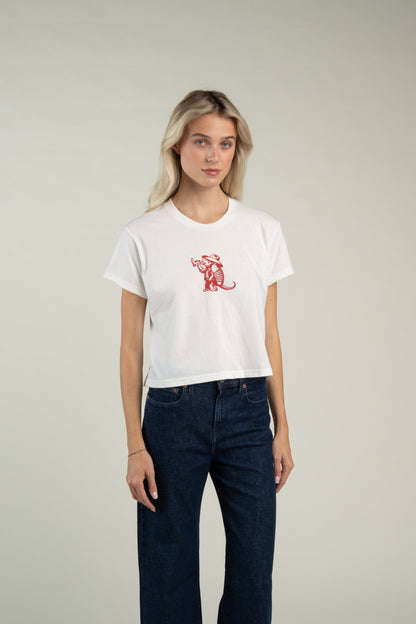 Sendero Provisions Co. Armadillo Boxy Tee