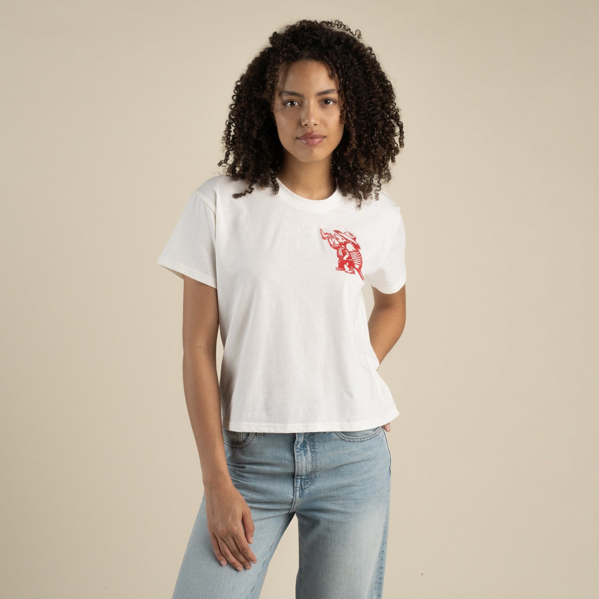 Sendero Provisions Co. Armadillo Boxy Tee