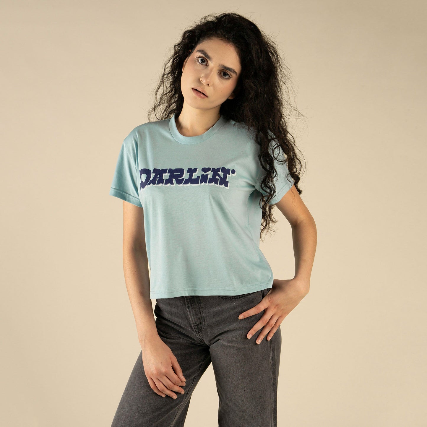 Sendero Provisions Co. Darlin Boxy Tee