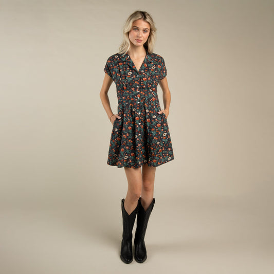 Sendero Provisions Co. Marabella Dress