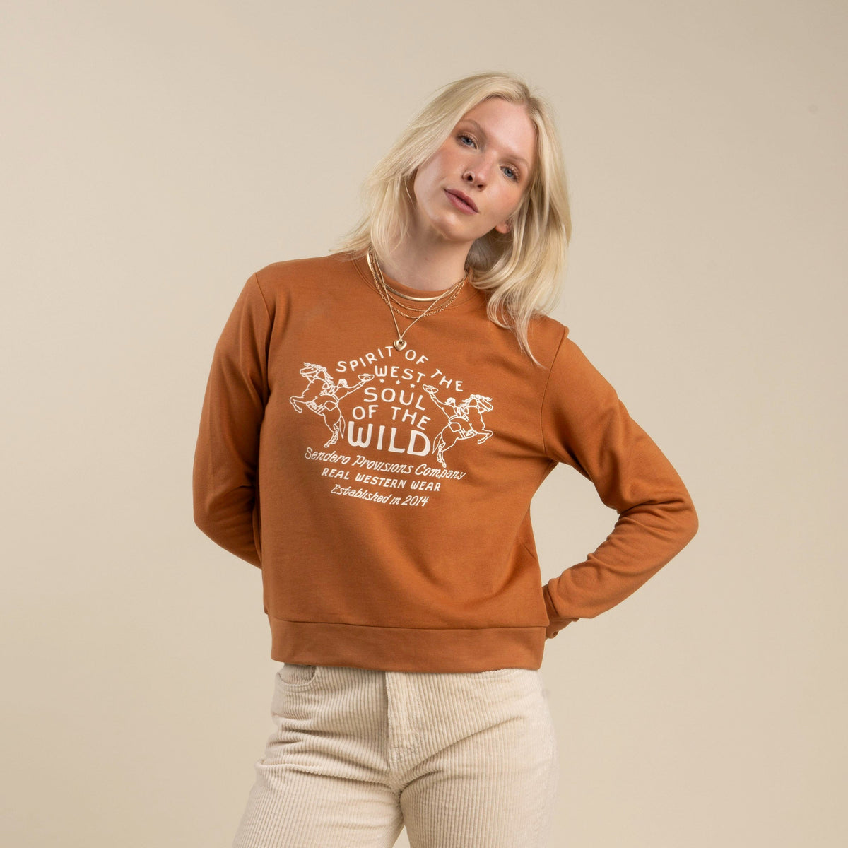 Sendero Provisions Co. Hi Ho Drop Shoulder Sweatshirt