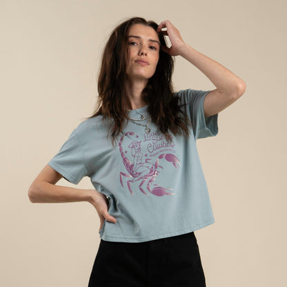 Sendero Provisions Co. Love Stings Boxy Tee