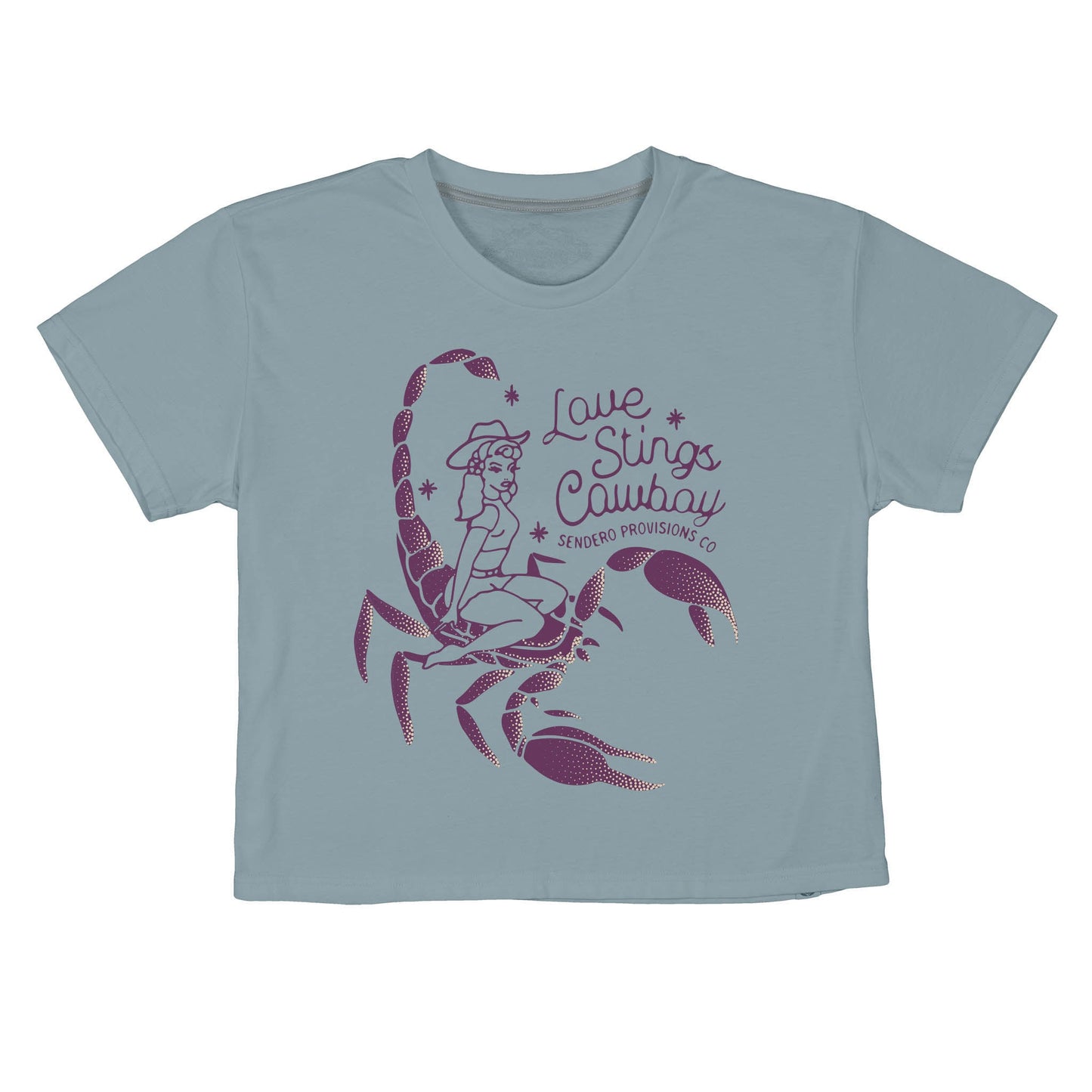 Sendero Provisions Co. Love Stings Boxy Tee