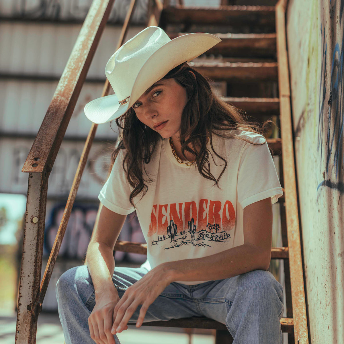Sendero Provisions Co. Desert Dreams Boxy Tee