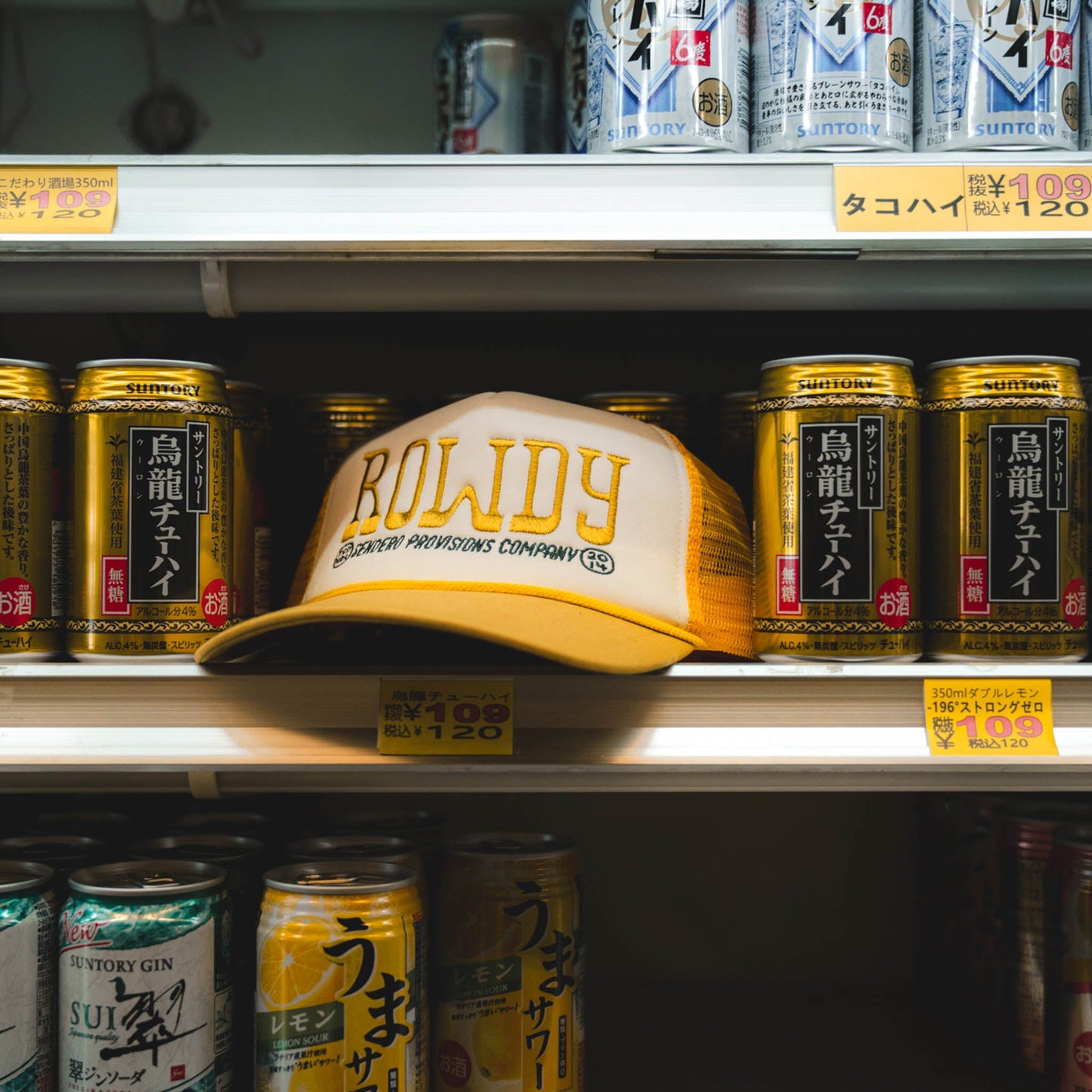 Sendero Provisions Co. Rowdy Hat